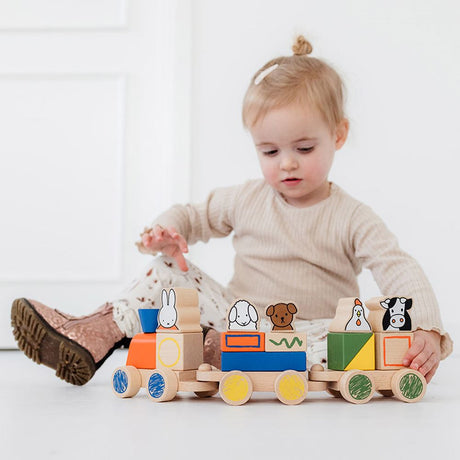 Bambolino toys nijntje houten blokkentrein. 3+
