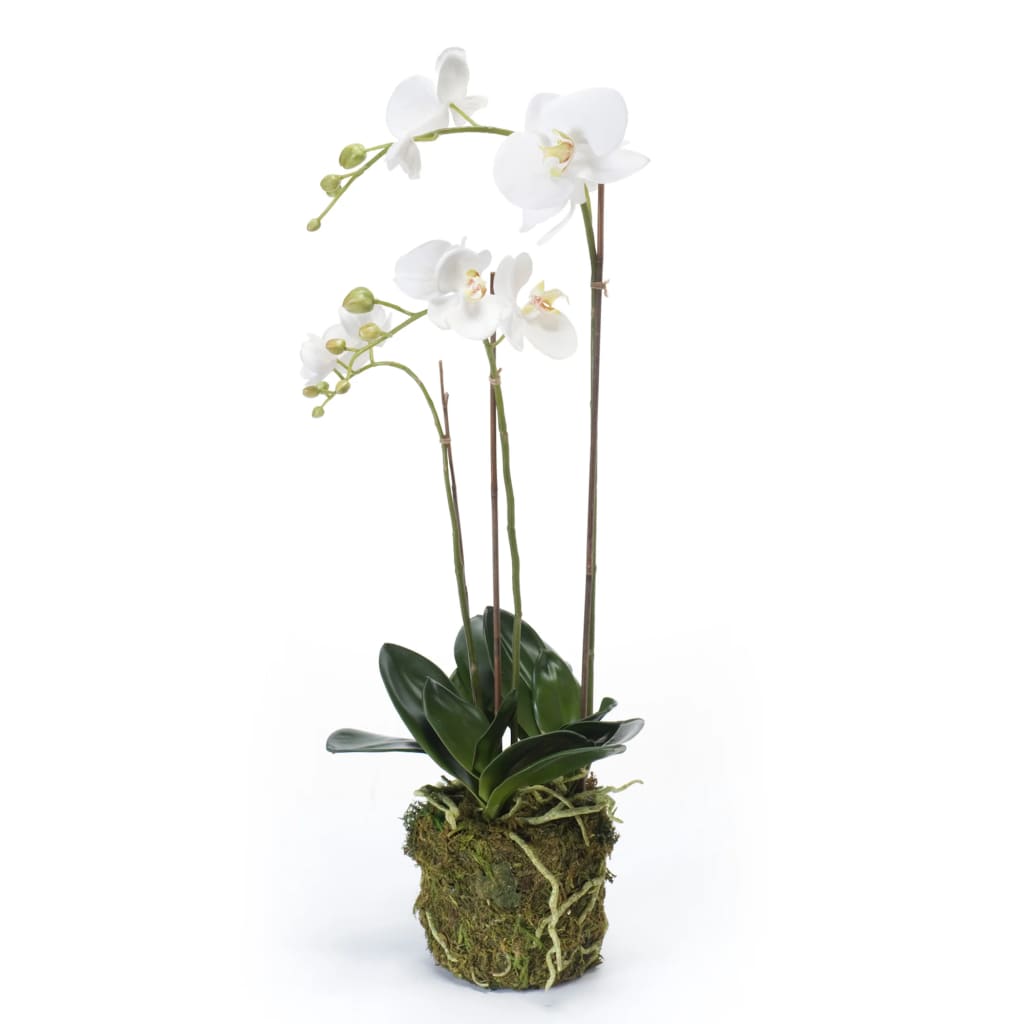 Emerald Emerald Art Plant Butterfly Orchid 70 cm White