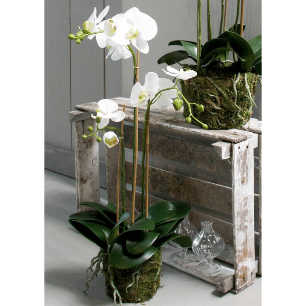 Emerald Emerald Art Plant Butterfly Orchid 70 cm White