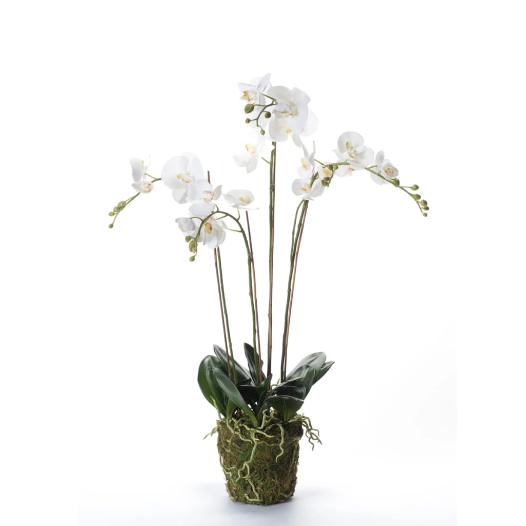 Emerald Emerald Art Plant Orchid With Moss White 90 cm 20,355