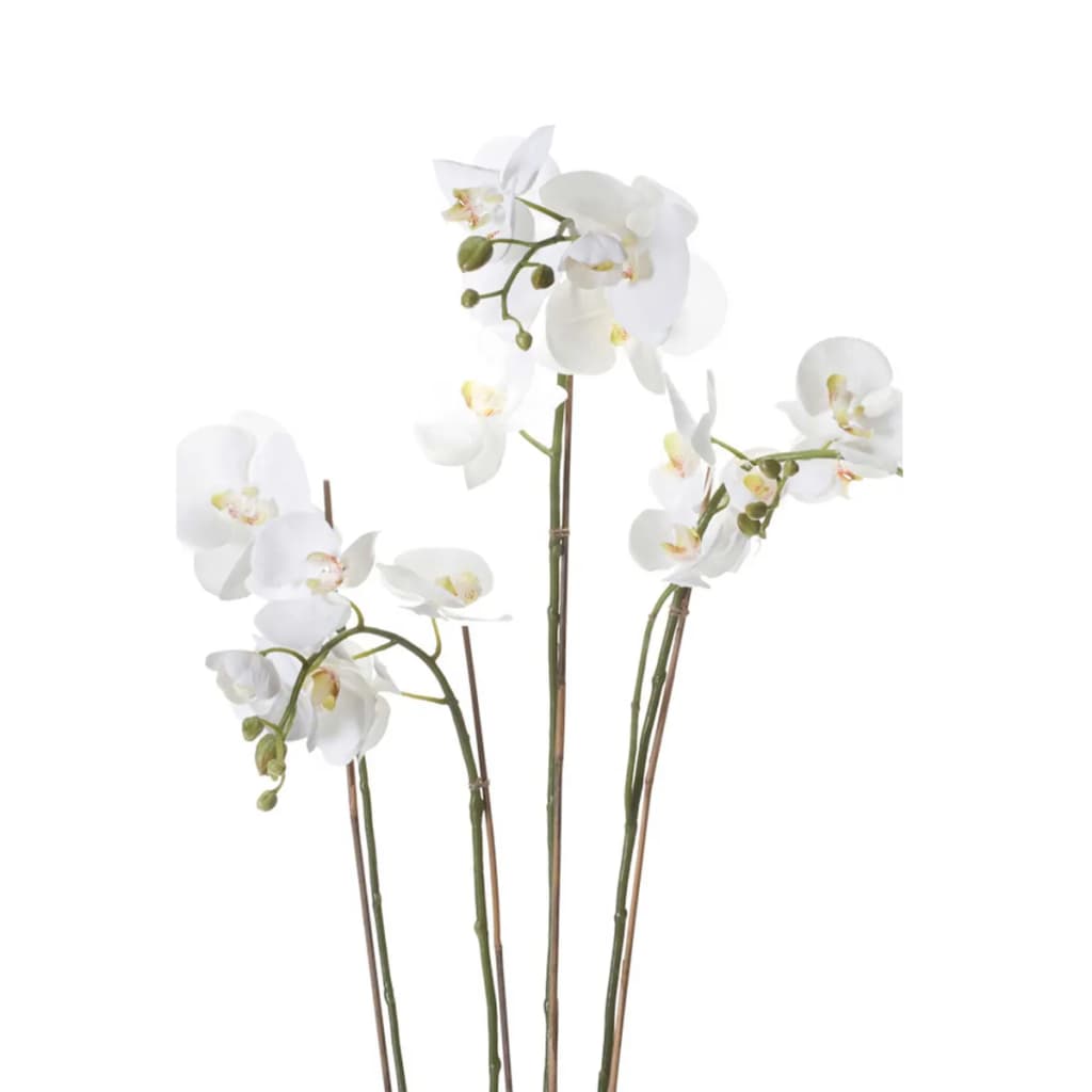 Emerald Emerald Art Plant Orchid With Moss White 90 cm 20,355