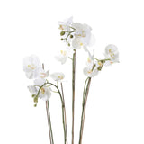 Emerald Emerald Art Plant Orchid With Moss White 90 cm 20,355