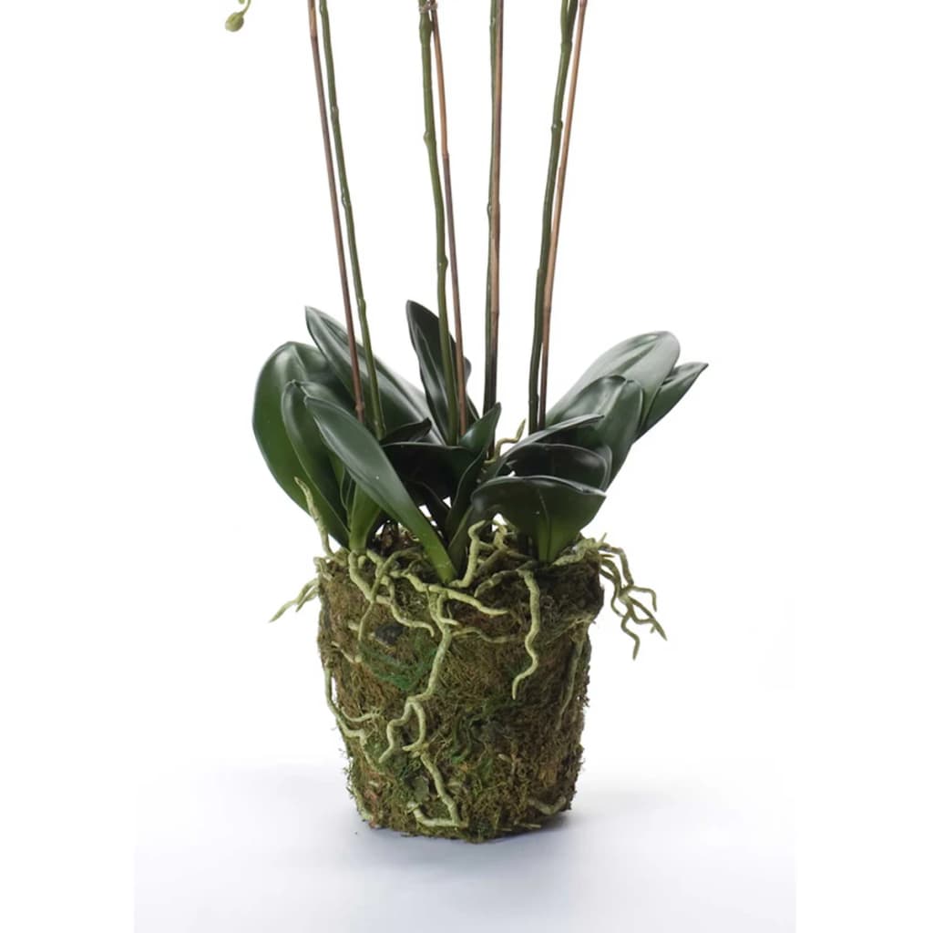 Emerald Emerald Art Plant Orchid With Moss White 90 cm 20,355