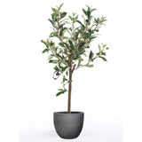 Emerald Emerald Art Plant Olive Tree Mini 65 cm