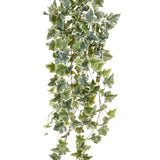 Emerald Emerald Art plant ivy hanging two -tone green 100 cm 11,960