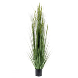 Emerald Emerald Art plant grain grass 150 cm