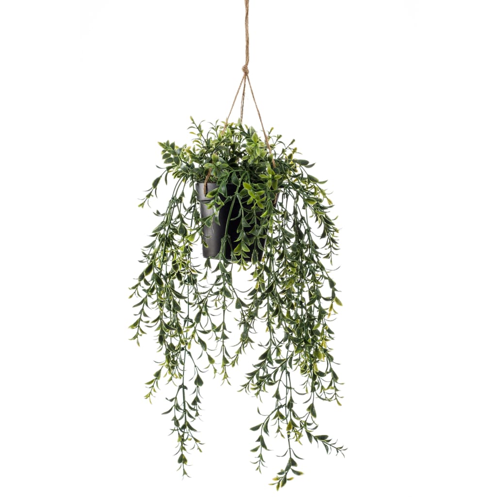 Emerald Emerald Art Plant Hanging in Pot Buxus 50 cm