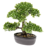 Emerald Emerald Art Plant Mini Bonsai Ficus Green 32 cm 420002