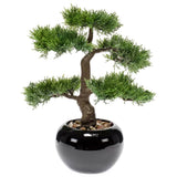 Emerald Emerald Art Plant Ceder Bonsai Green 34 cm 420001