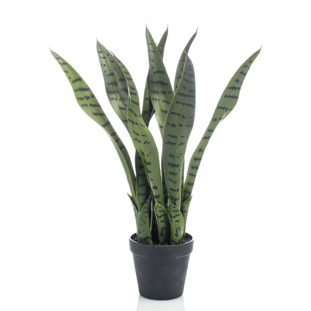 Emerald Emerald Art Plant Sansevieria in pot 55 cm