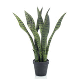 Emerald Emerald Art Plant Sansevieria in pot 55 cm