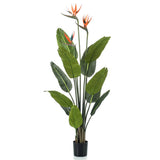 Emerald Emerald Art Plant with pot and flowers Strelitzia 120 cm