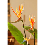 Emerald Emerald Art Plant with pot and flowers Strelitzia 120 cm