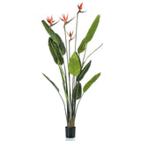 Emerald Emerald Art Plant in Pot Strelitzia with 4 flowers 150 cm