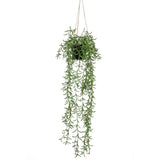 Emerald kunstplant hangend in pot senecio 70 cm