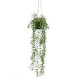 Emerald kunstplant hangend in pot senecio 70 cm