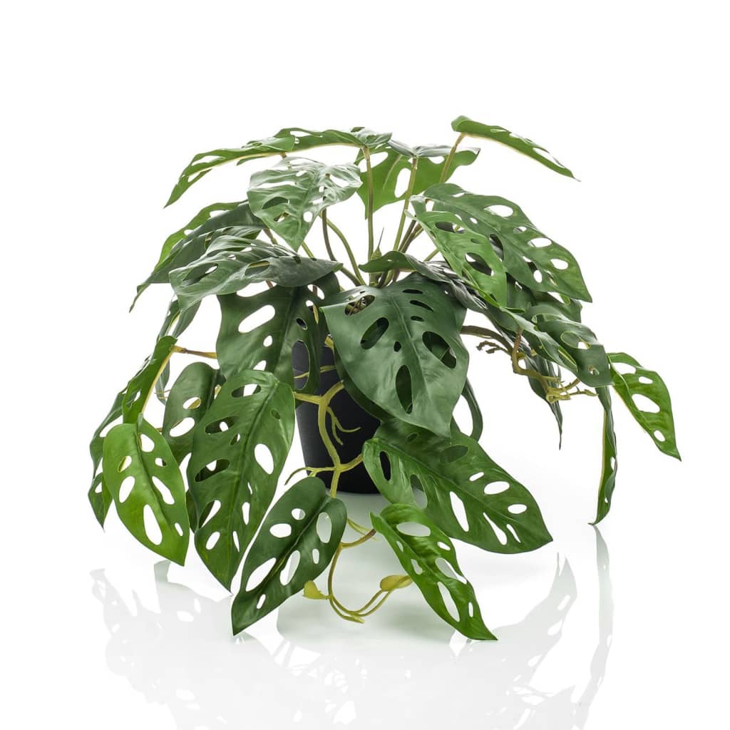 Emerald Emerald Art Plant in Pot Monkey Monstera Struik 55 cm