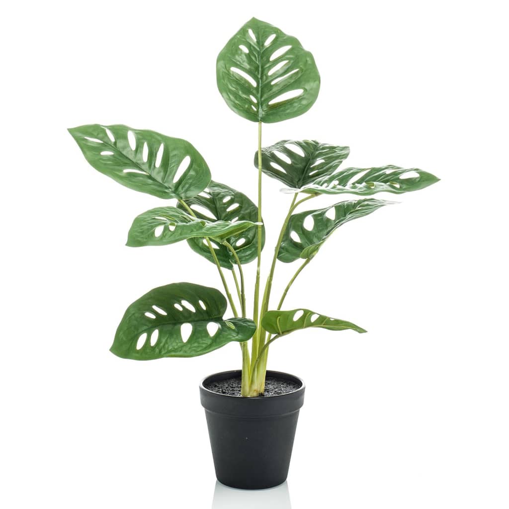 Emerald Emerald Art Plant in Pot Monkey Monstera Struik 43 cm