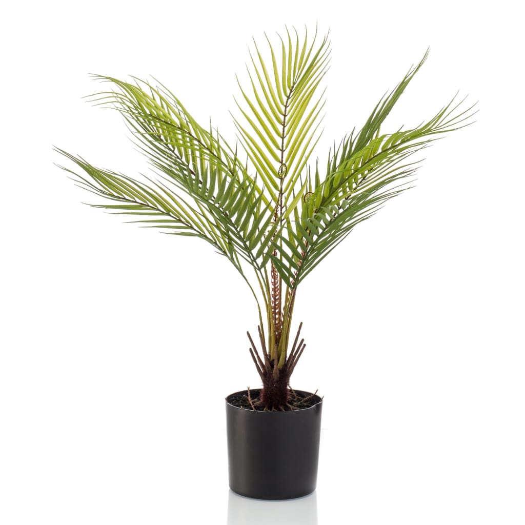 Emerald Emerald Art Plant in Pot Chamaedorea Palm 50 cm