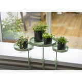 ESSCHERT Design Esschert Design Plant Blak con abrazadera alrededor de M Green