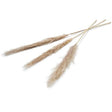 Diversen pampas kunstbloem 150 cm set van 3 naturel