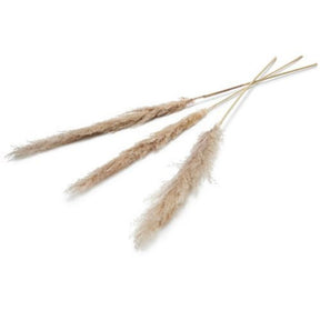 Diversen pampas kunstbloem 150 cm set van 3 naturel