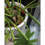 Capi capi planter groove 35x34 cm elfenben farget