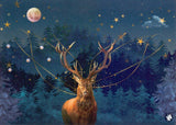 Prentbriefkaart cd10: christmas dee 6 st | 6 stuks