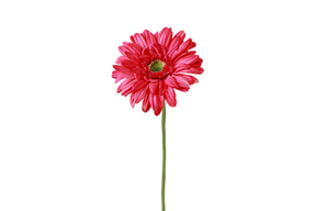 Countryfield kunstbloem gerbera leanne lila 8x8x63cm