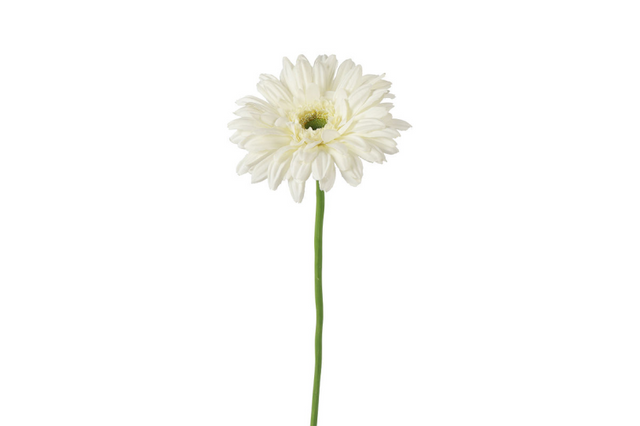 Countryfield kunstbloem gerbera leanne wit 8x8x63cm