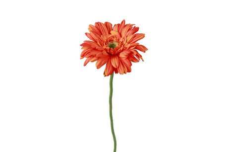 Countryfield kunstbloem gerbera leanne oranje 8x8x63cm