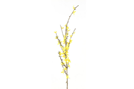 Countryfield kunstbloem forsythia geel 76cm