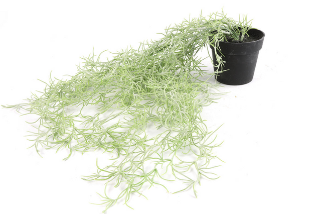 Countryfield kunstplant tillandsia groen