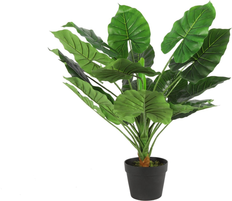 Countryfield kunstplant monstera s 50x80cm