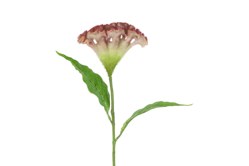 Countryfield kunstbloem celosia l.paars 62cm