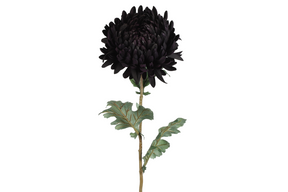 Countryfield kunstbloem chrysanthemum zwart paars 75cm