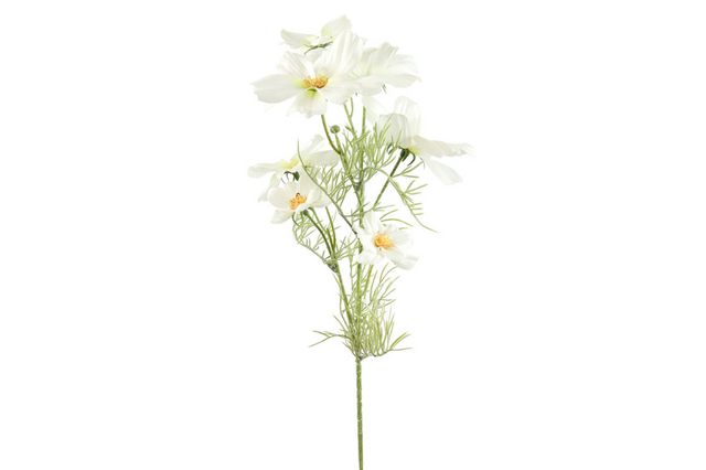 Countryfield kunstbloem cosmos wit 74cm