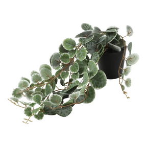 Countryfield kunstplant ceropegia woodii groen