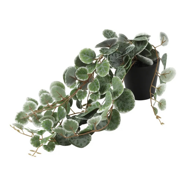 Countryfield kunstplant ceropegia woodii groen