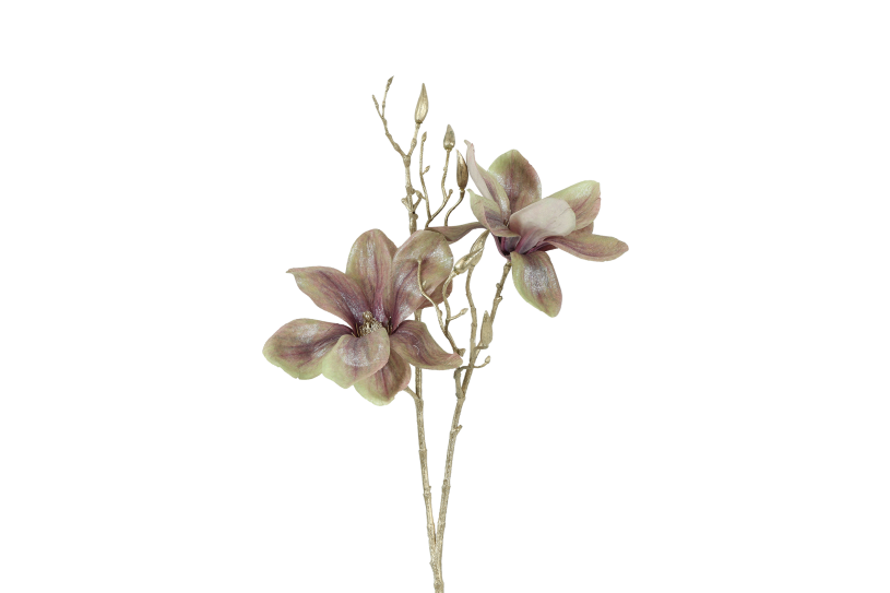 Countryfield kunstbloem magnolia s champagne goud 84cm