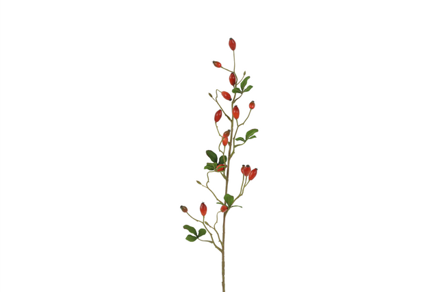 Countryfield kunstbloem rosa canina s rood 83cm