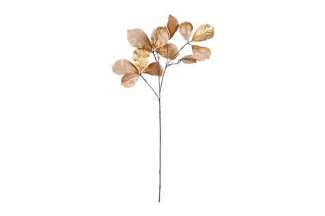 Countryfield kunstbloem parthenocissus s l.bruin 80cm