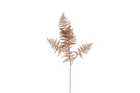 Countryfield kunstbloem asparagus s bruin 85cm