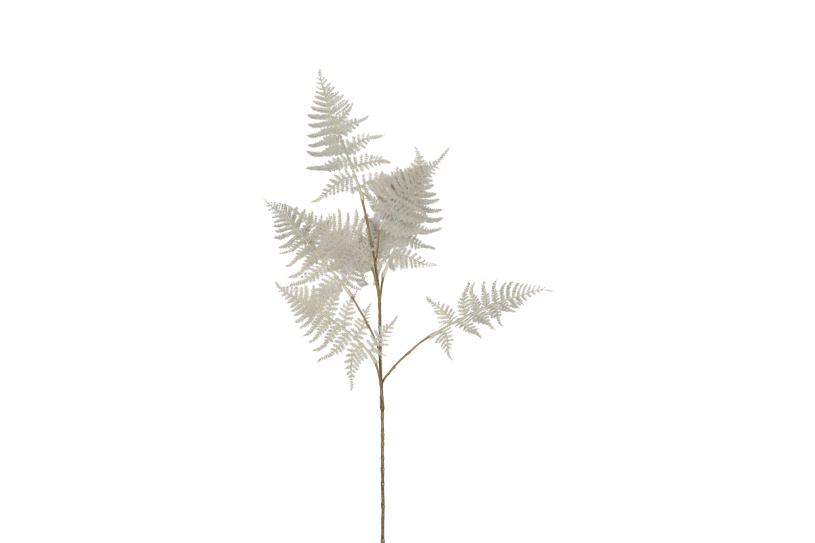 Countryfield kunstbloem asparagus s l.grijs 85cm
