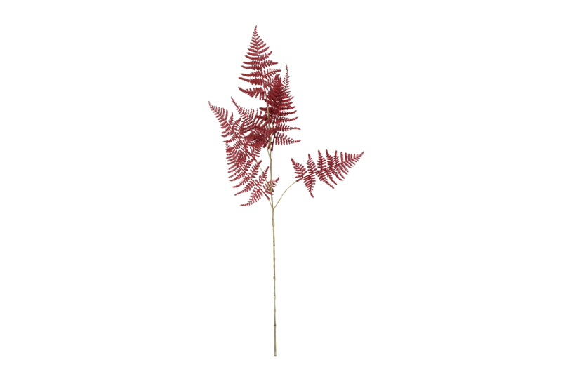 Countryfield kunstbloem asparagus s bordeaux 85cm