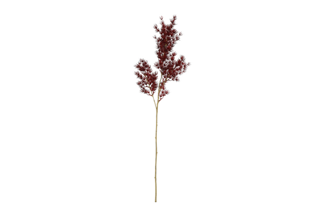 Countryfield kunstbloem asparagus s bordeaux 73cm