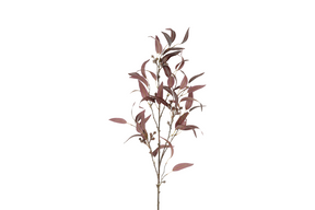 Countryfield kunstbloem eucalyptus l indischrood 21cm