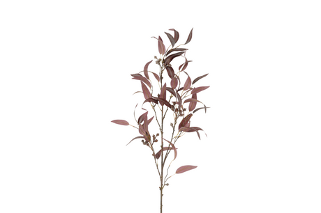 Countryfield kunstbloem eucalyptus l indischrood 21cm