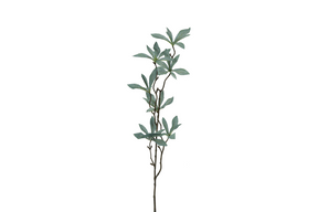 Countryfield kunstbloem pachira groen 80cm