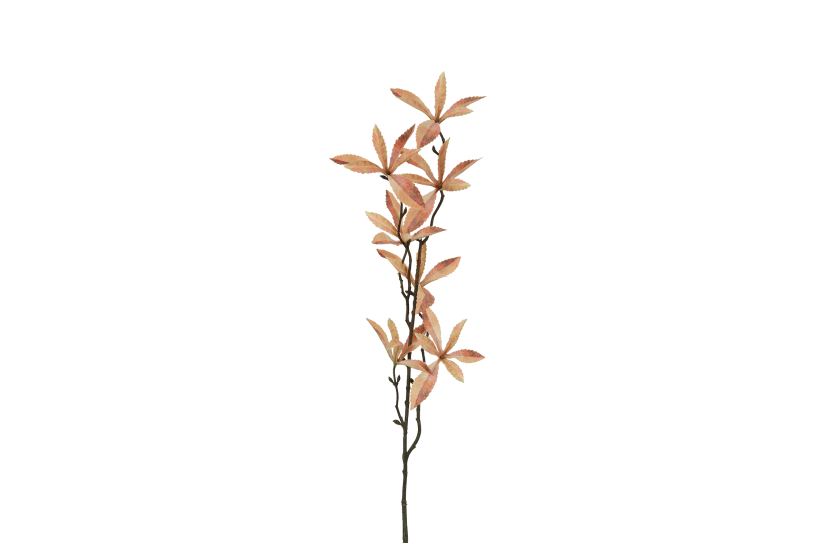 Countryfield kunstbloem pachira bruin 80cm